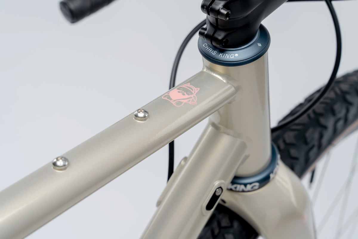 Erdgeschoss | Golden Brown | SRAM Rival AXS XPLR