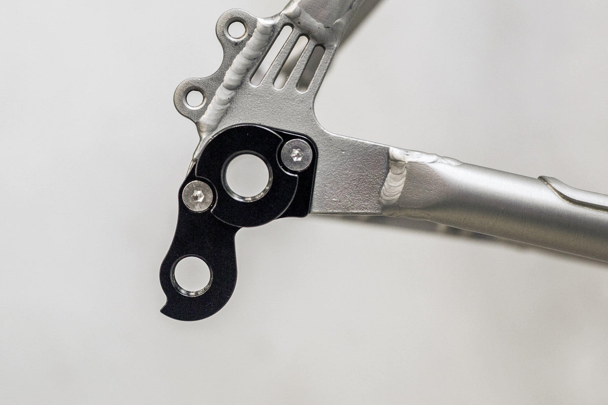 Derailleur Hanger | Erdgeschoss Stainless (until 2021), Triebwerk Disc, Pfadfinder - Standert Bicycles