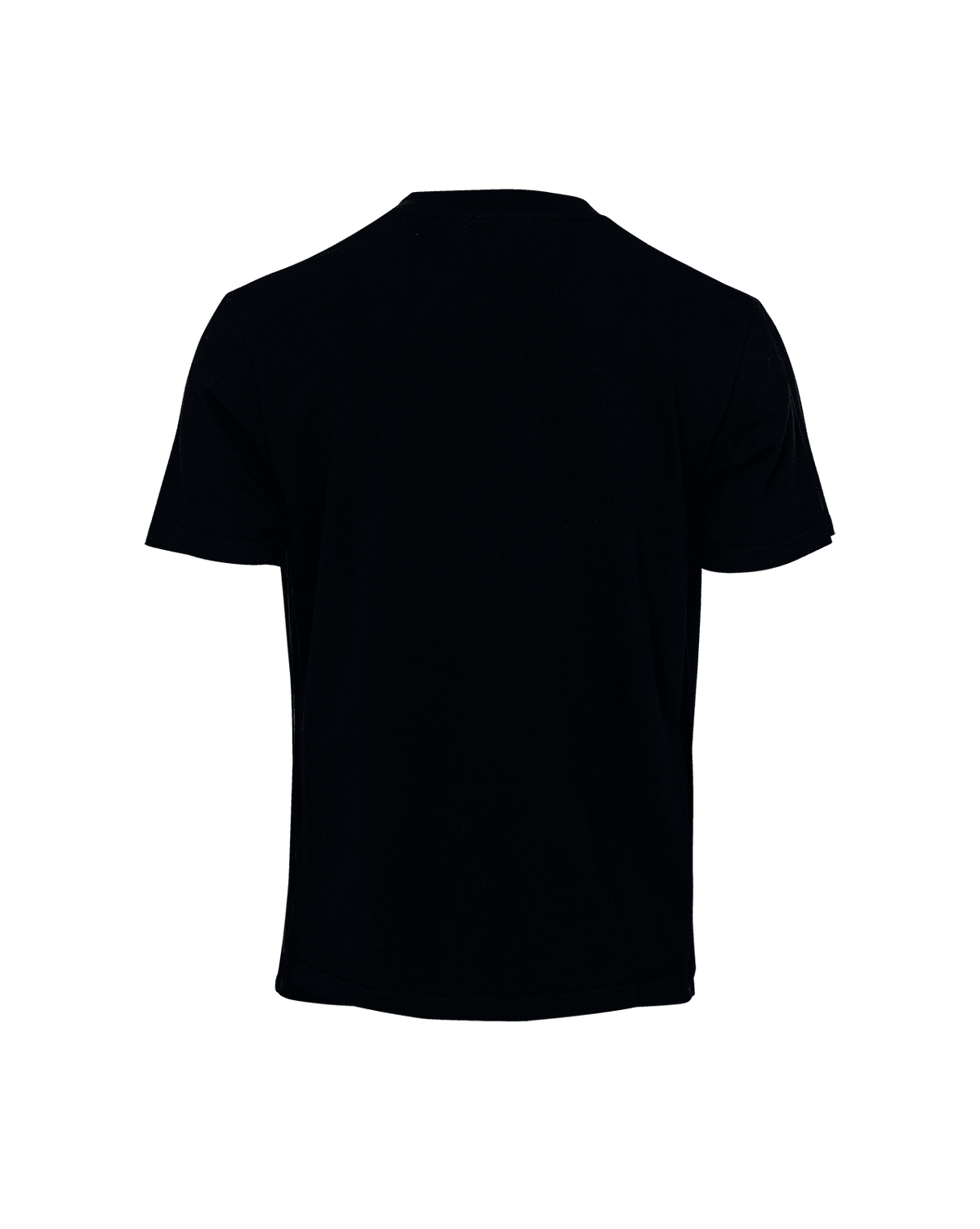 T-Shirt Standert Premium Legacy Black