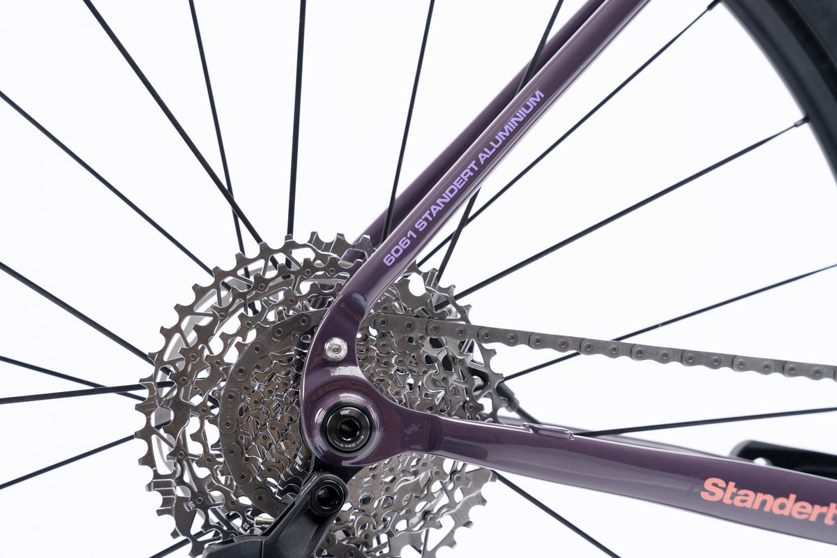 Kieswerk | SRAM Apex AXS XPLR | DT Swiss G 1800 | Plump Plum