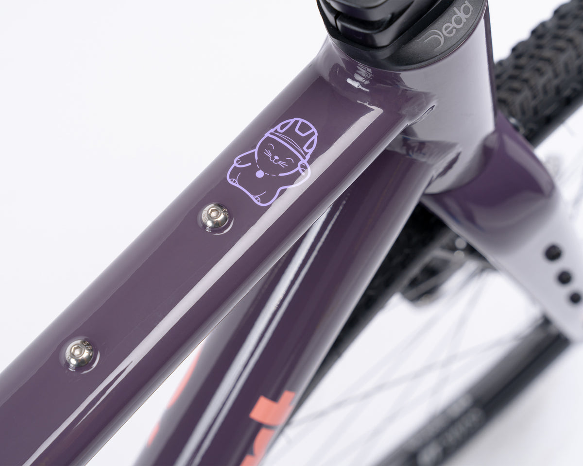 Kieswerk | SRAM Apex AXS XPLR | DT Swiss G 1800 | Plump Plum