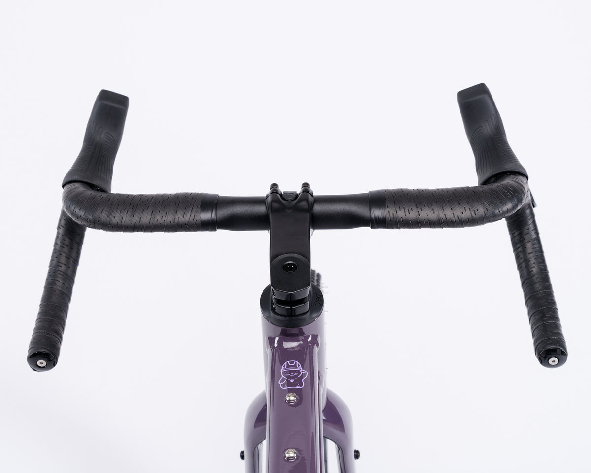 Kieswerk | SRAM Apex AXS XPLR | DT Swiss G 1800 | Plump Plum