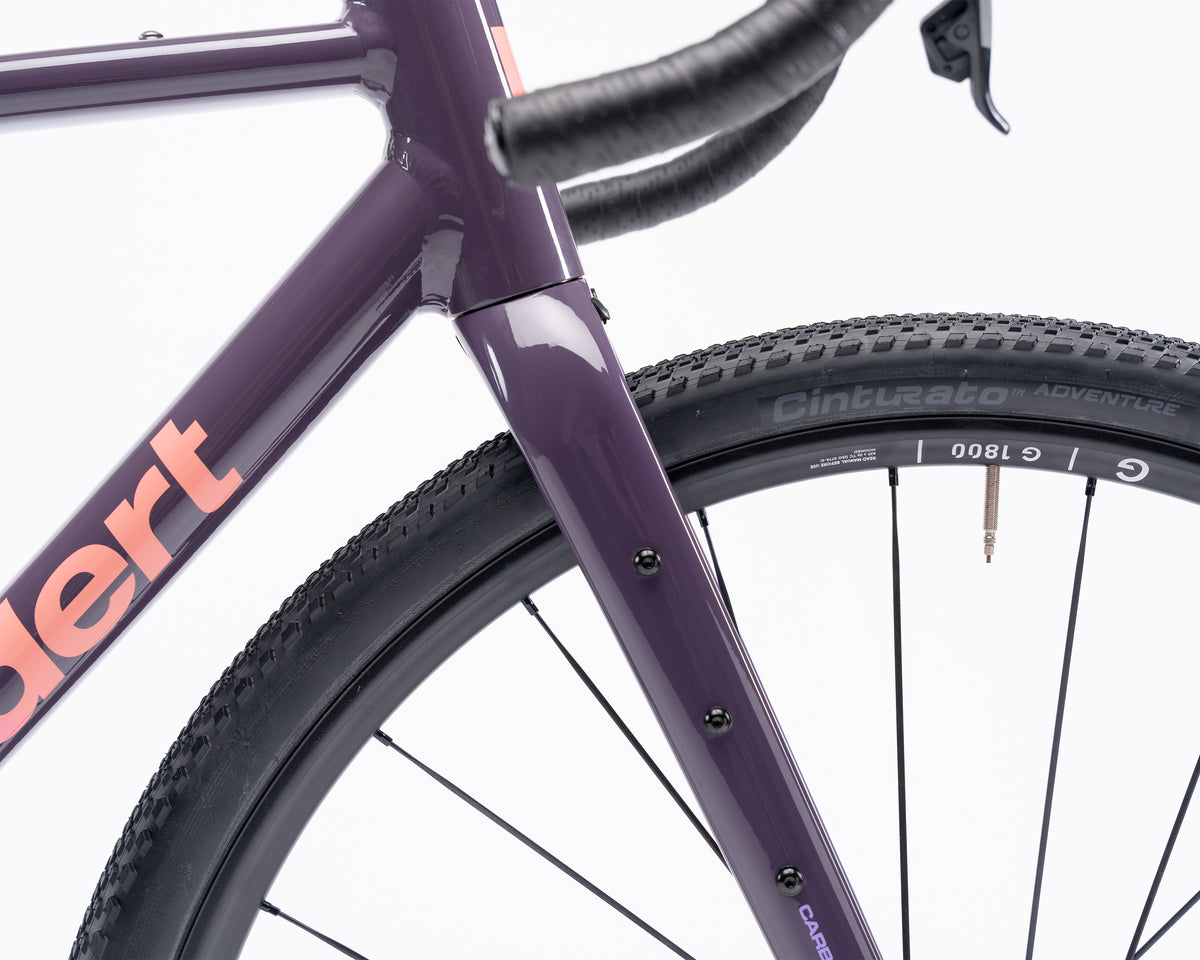 Kieswerk | SRAM Apex AXS XPLR | DT Swiss G 1800 | Plump Plum