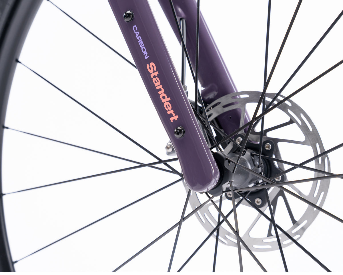 Kieswerk | SRAM Apex AXS XPLR | DT Swiss G 1800 | Plump Plum