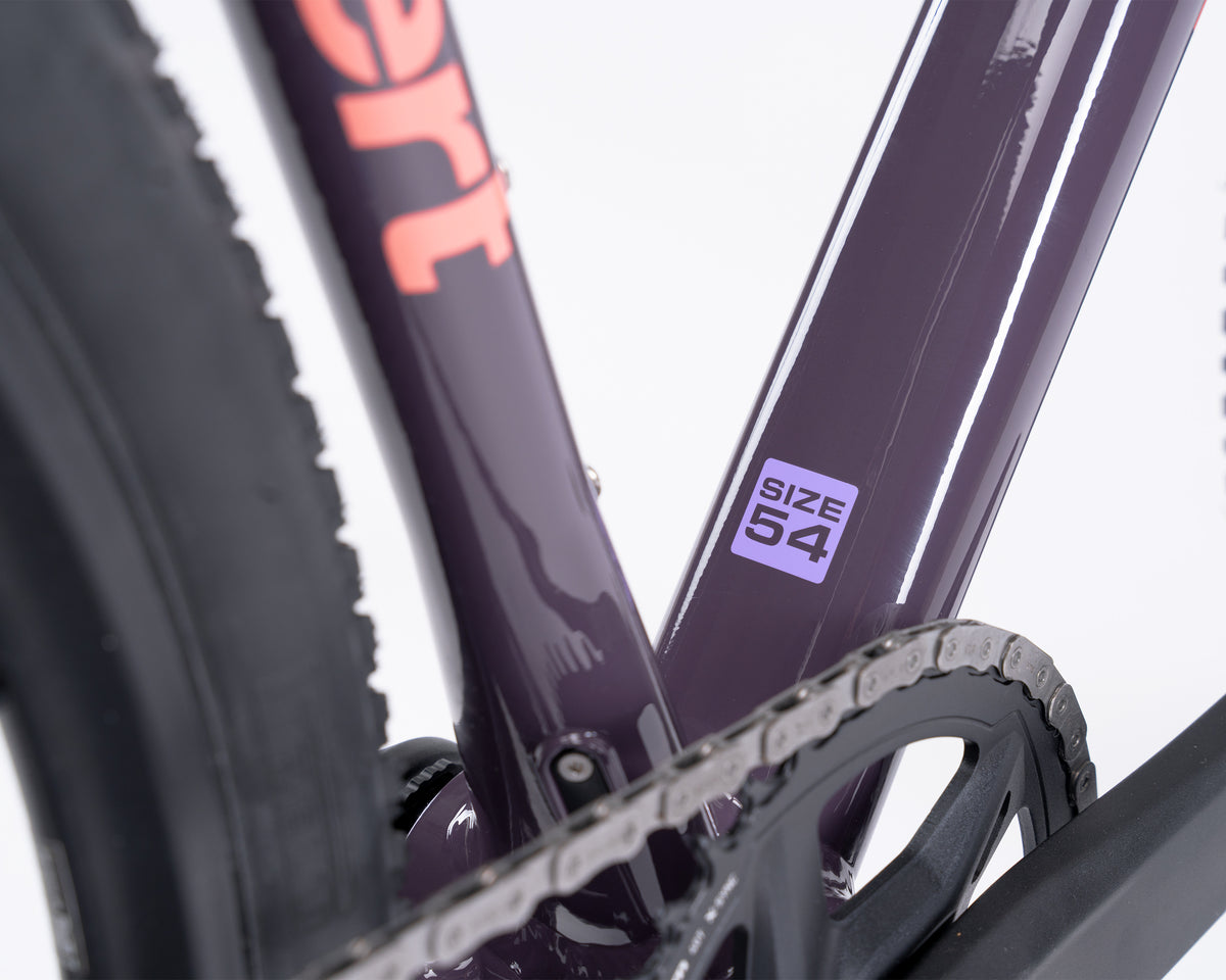 Kieswerk | SRAM Apex AXS XPLR | DT Swiss G 1800 | Plump Plum