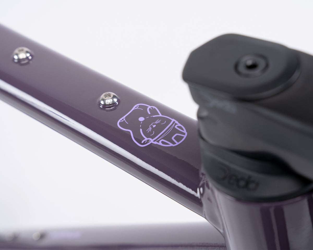 Kieswerk | SRAM Apex AXS XPLR | DT Swiss G 1800 | Plump Plum