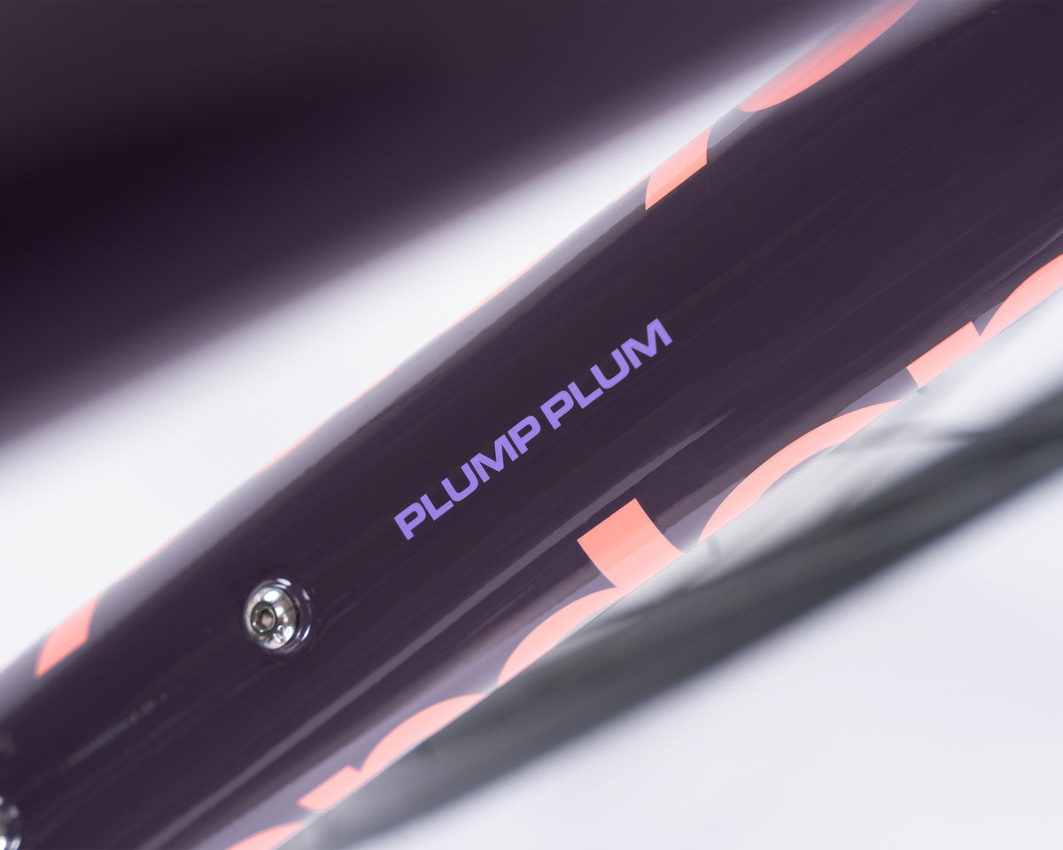 Kieswerk | SRAM Apex Eagle | DT Swiss GR LN | Plump Plum