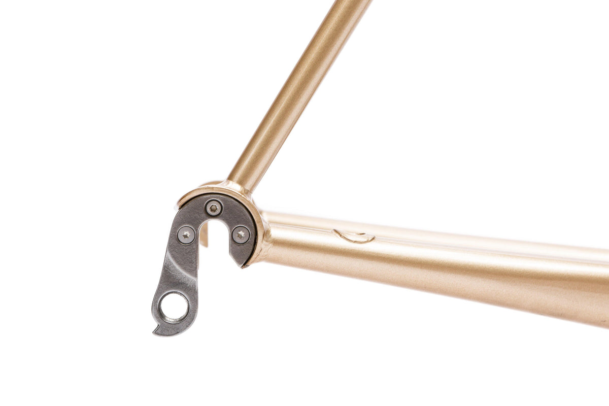 Derailleur Hanger | Triebwerk Mach3 - Standert Bicycles